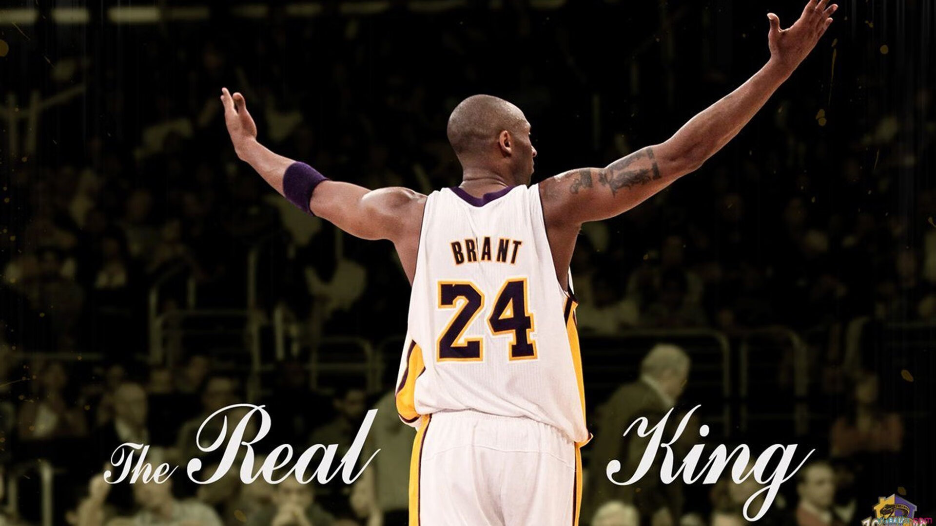 APP下载 LY Sports-_丝绸之路体育盛会：文化融合的世界舞台_，丝绸之路体育项目