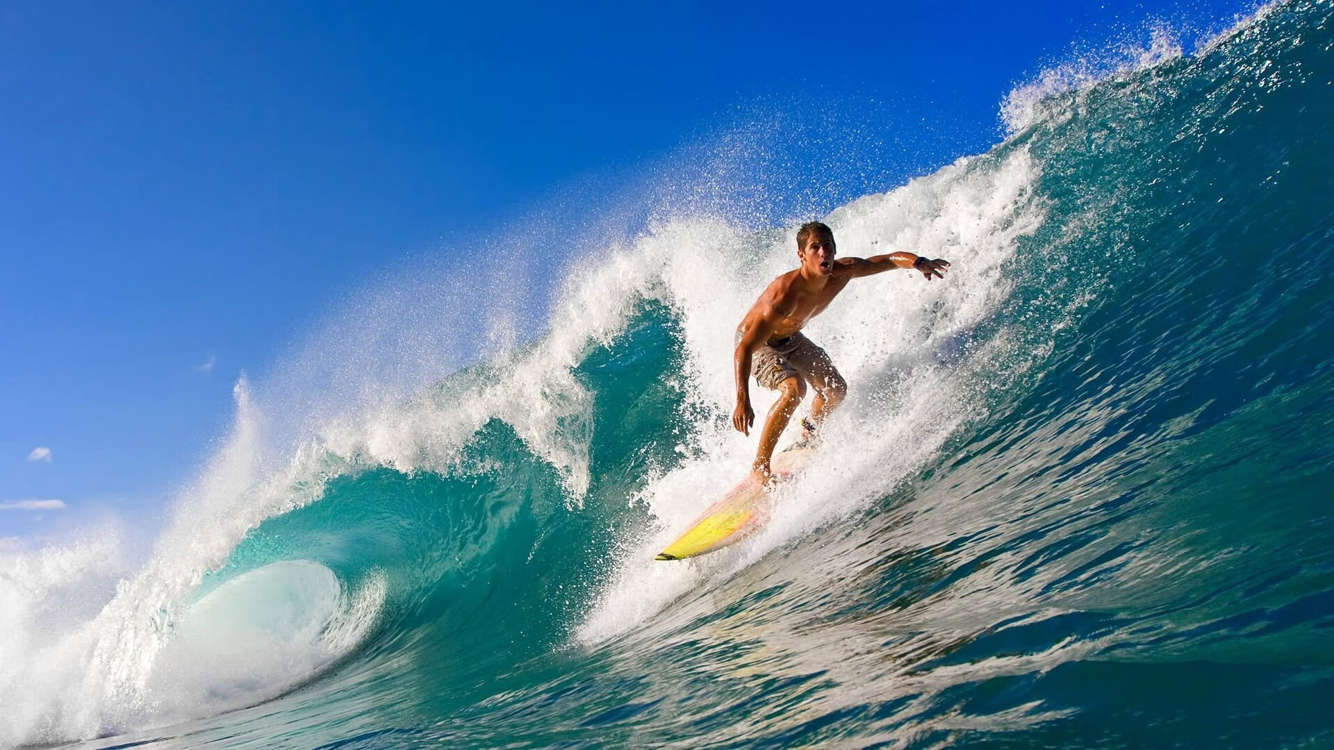 _青少年运动员成长路径：从训练营到职业舞台_，青少年运动员选材与培养
